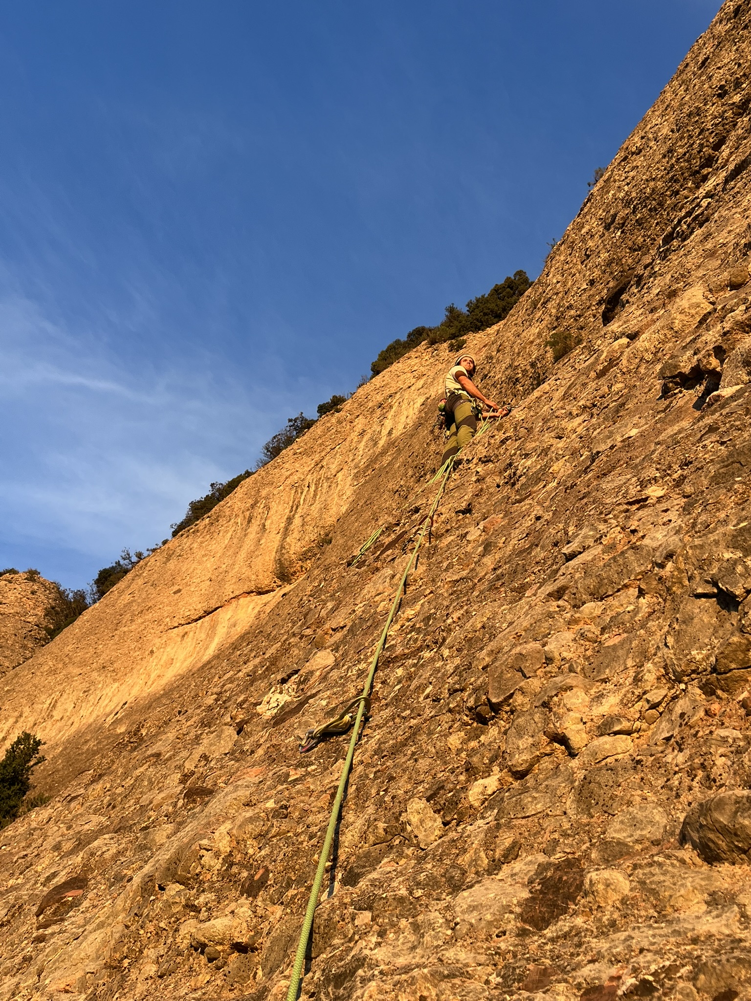 Senglar Eixerit a la Placa Tòtem